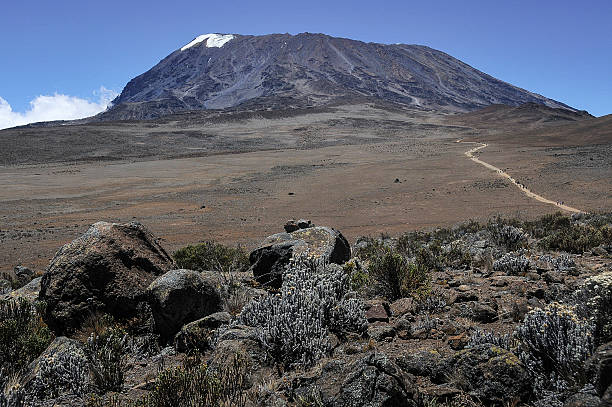Mount Kilimanjaro Adventure
